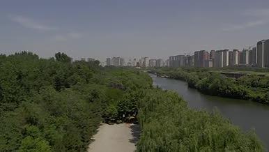 夏天公园大自然风光绿色阳光实景拍摄视频的预览图